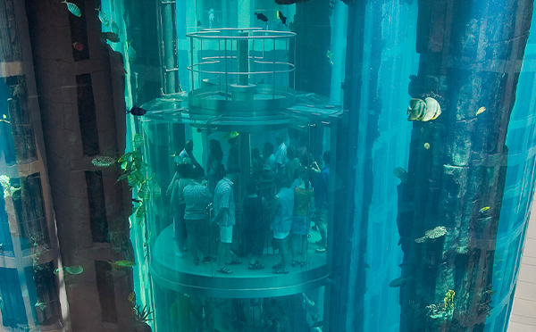 Die schönsten Aufzüge der Welt – AquaDom in Berlin